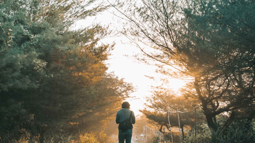 a person walking down a road