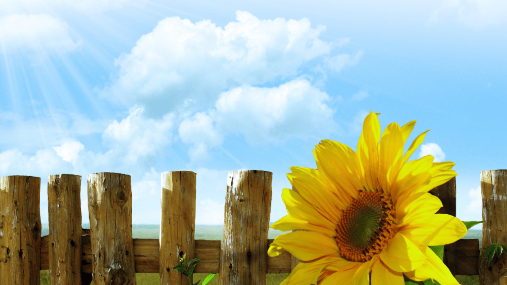 image of a wooden fence