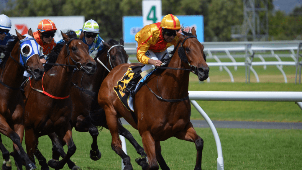 jockeys are racing horses down the track