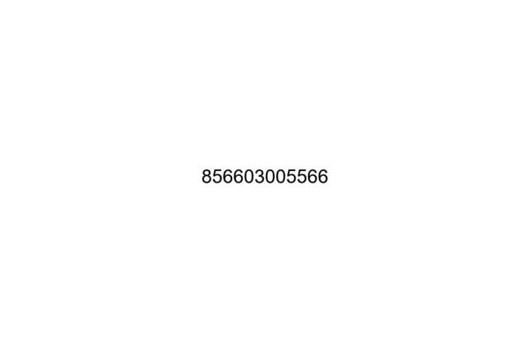 856603005566