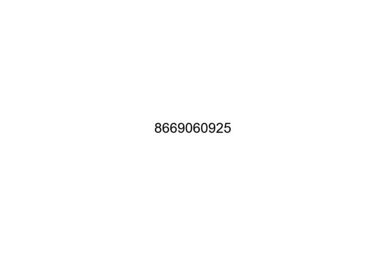 8669060925