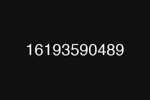 16193590489