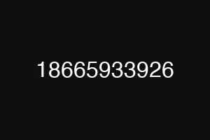 18665933926