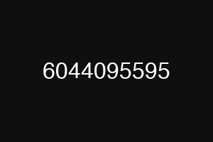 6044095595