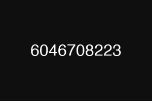 6046708223
