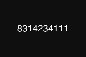 8314234111