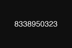 8338950323