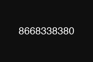 8668338380