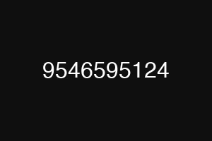 9546595124