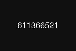 611366521