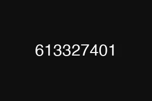 613327401