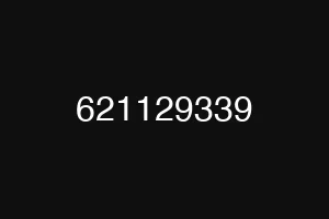 621129339