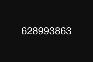 628993863