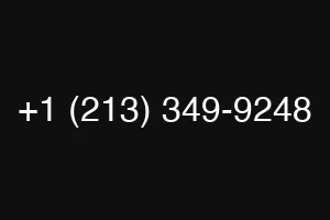 +1 (213) 349-9248