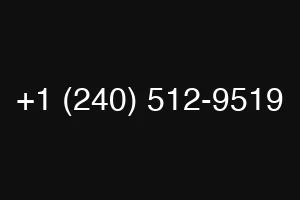 +1 (240) 512-9519