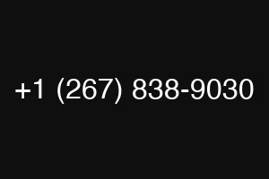 +1 (267) 838-9030