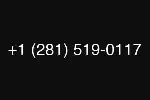 +1 (281) 519-0117