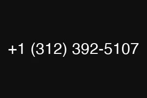 +1 (312) 392-5107