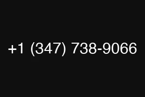 +1 (347) 738-9066