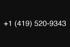 +1 (419) 520-9343