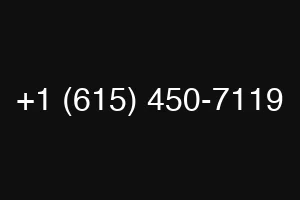 +1 (615) 450-7119