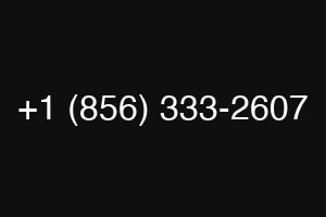 +1 (856) 333-2607