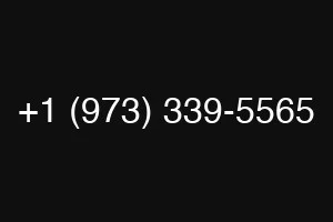 +1 (973) 339-5565